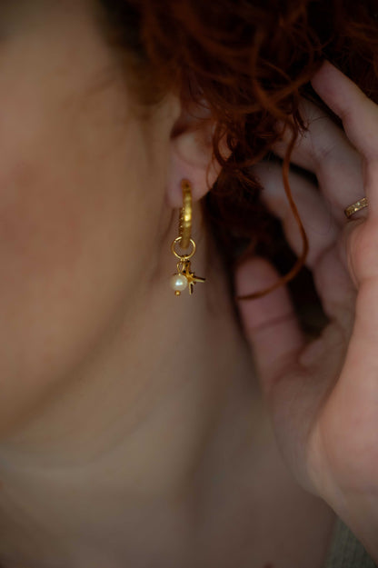 Fragment Étoile du Nord