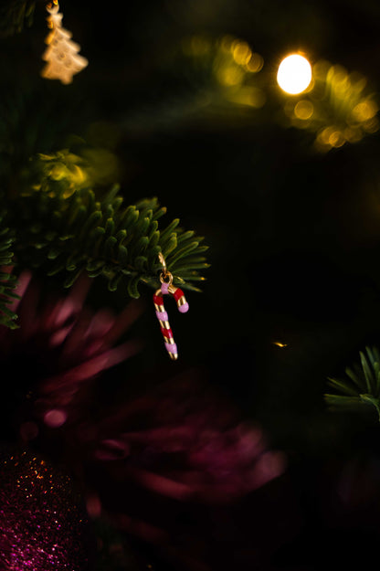 Fragment Sucre d'Orge